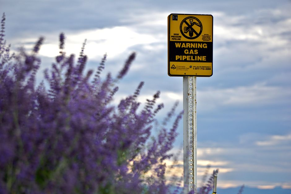 A gas pipeline warning sign beside an energy corridor