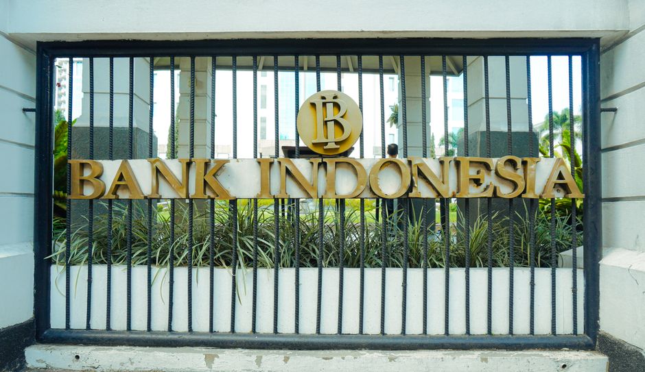 IPO deal documents and institutional offering process