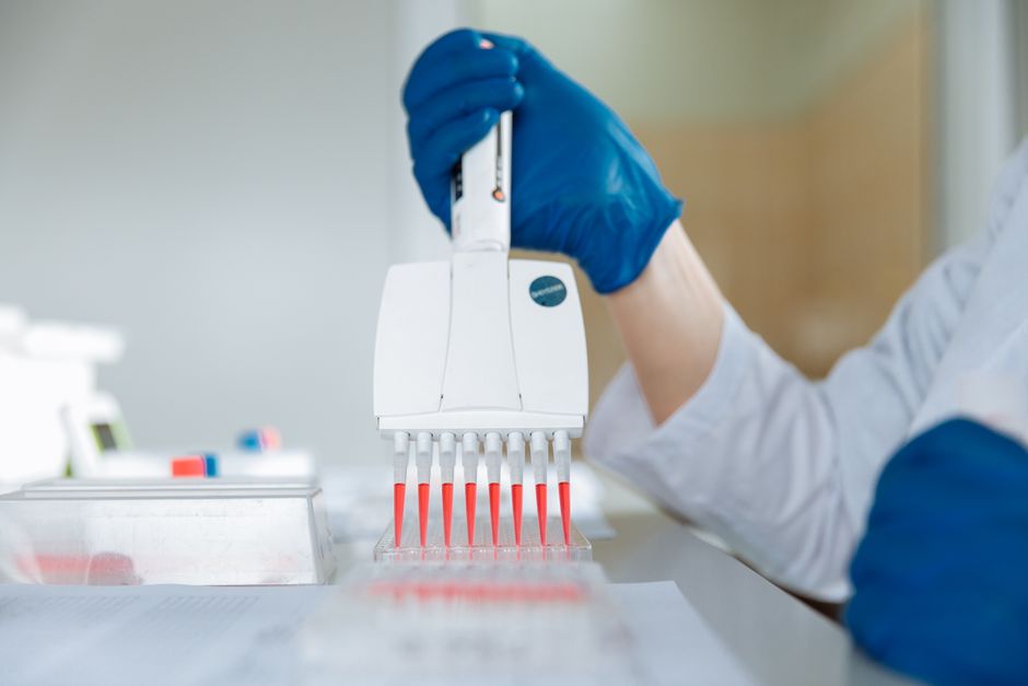 Close-up of a lab technician using a multichannel pipette for testing in a laboratory.