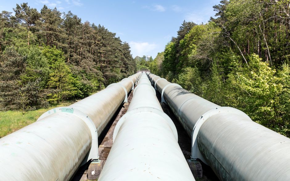 Large industrial pipeline traversing through a green forest.