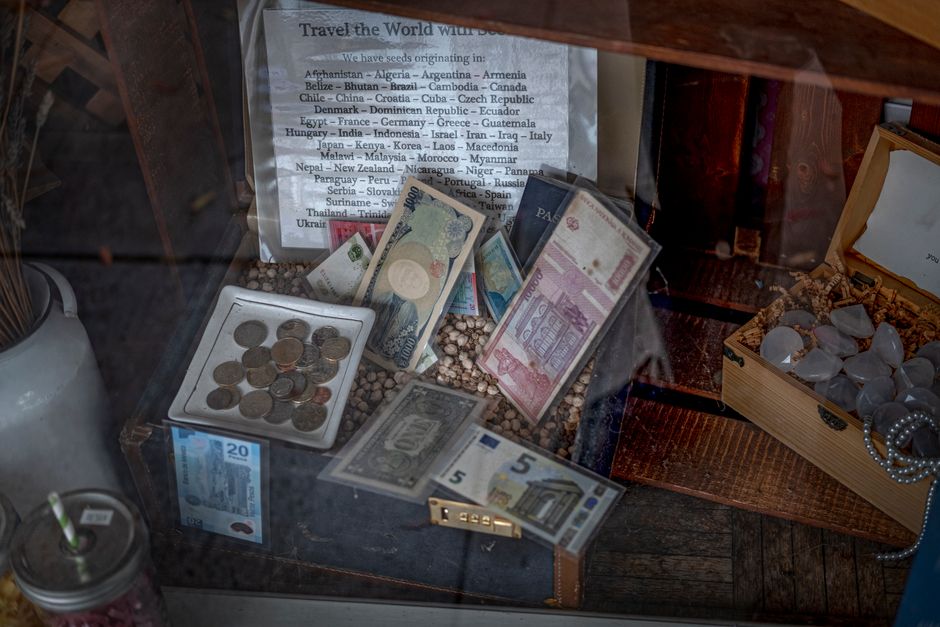 Collection of global coins and banknotes in a vintage display